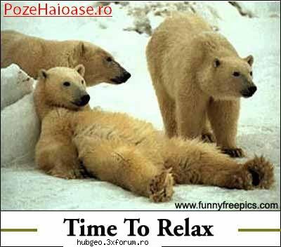 funny pic - Klose - Funny
