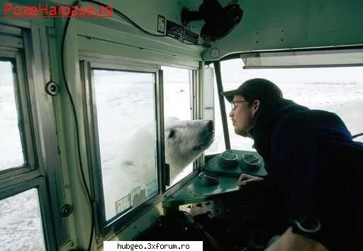 funny pic - Klose - Funny