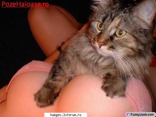 funny pic - Ce n-aş da să fiu pisică...of! - Funny