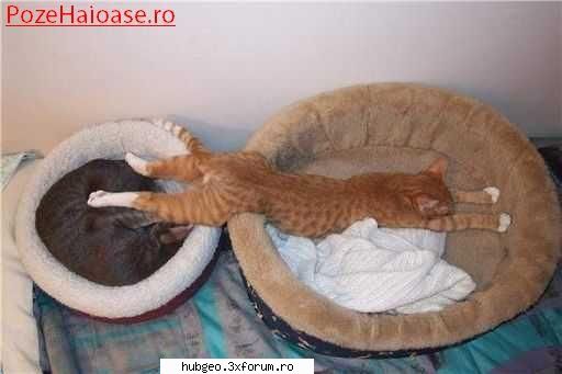 funny pic - Klose - Funny